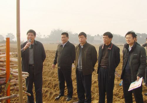 2月20日,浦北县南部蔗区2012年春植糖蔗现场会在湘桂集团下属